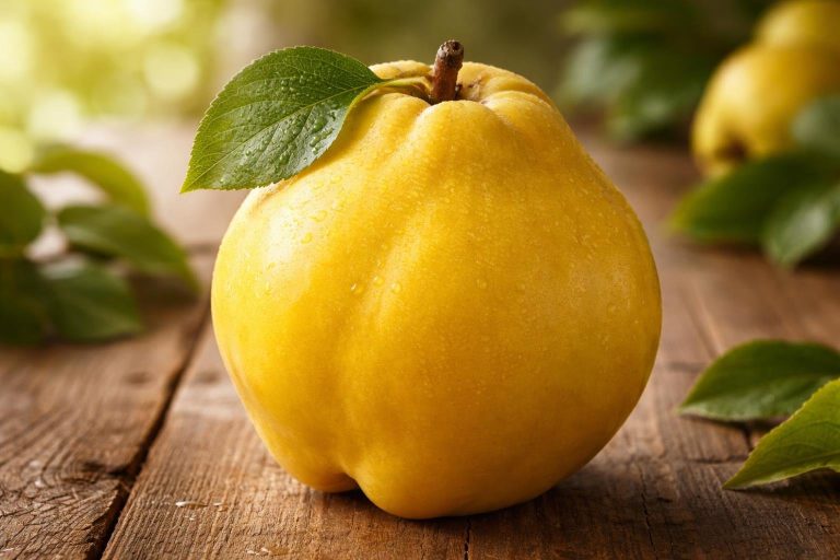Coing Fruit : Bienfaits et Comment le Consommer ?
